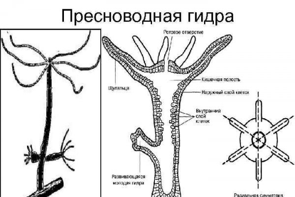 Как пополнять кракен тор
